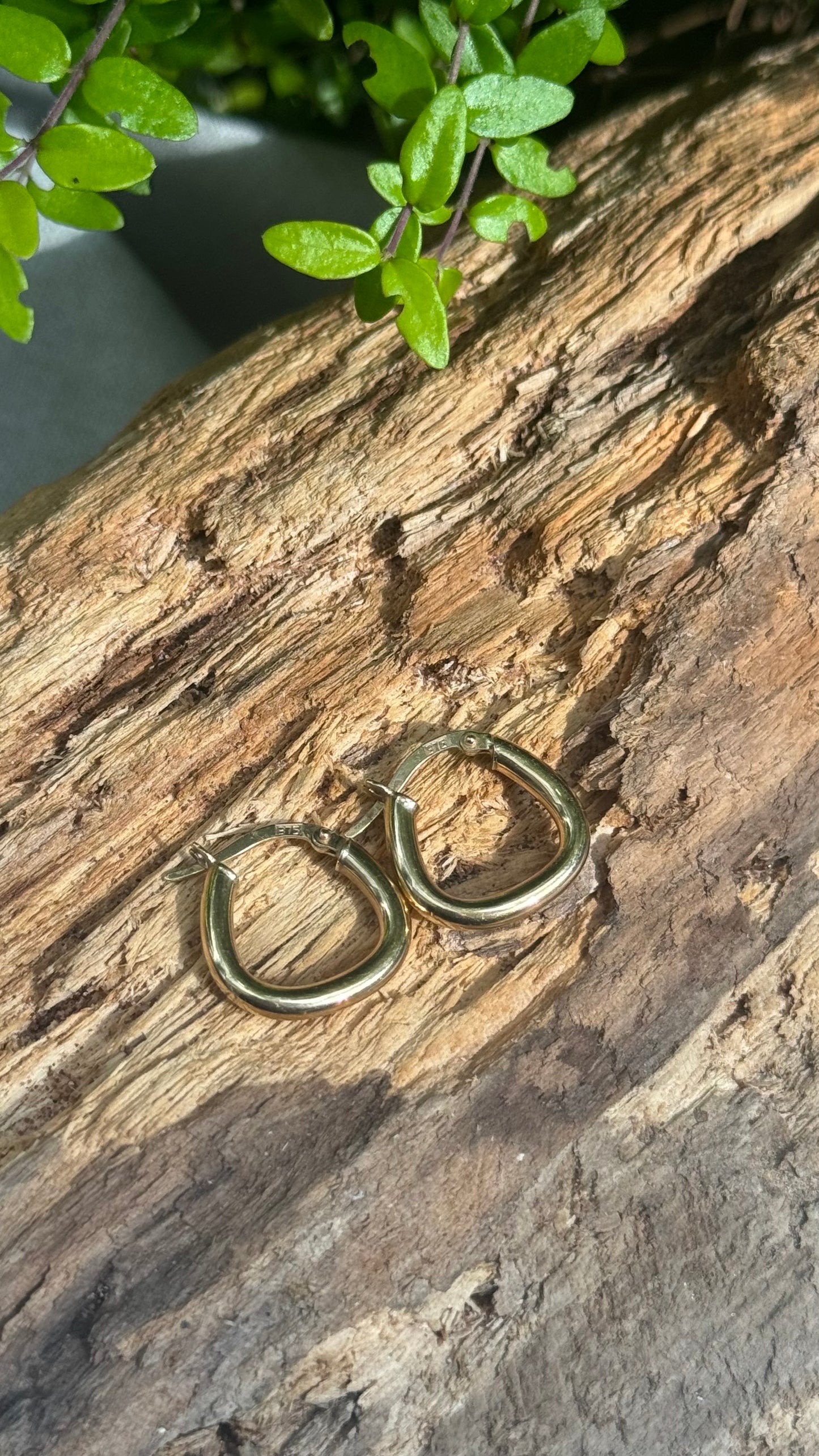 Angular chubby hoops