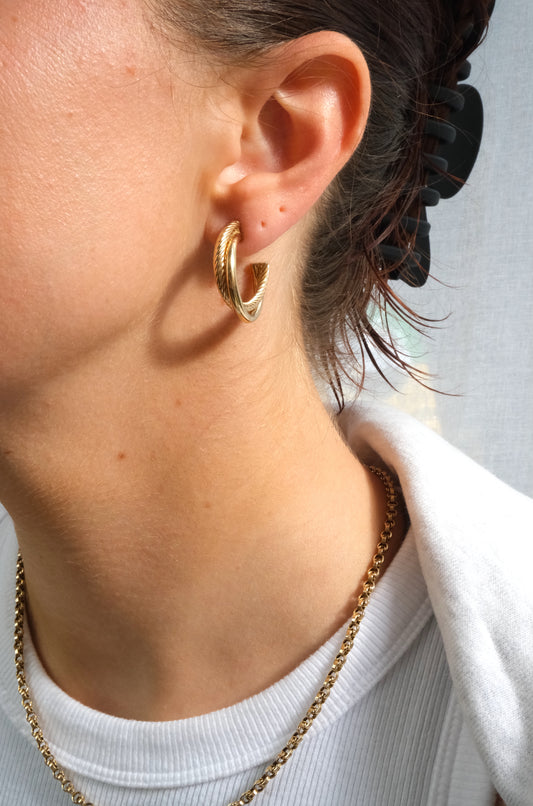 Double Hoop Earrings
